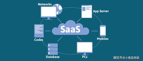 物聯網技術在汽車定位管理中的應用 小狼星IoT團隊的車聯網智能化管理服務